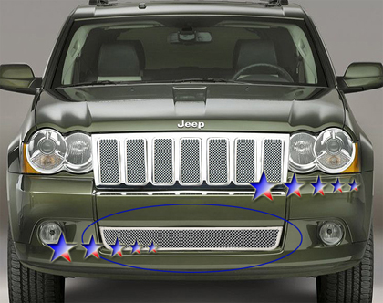 APS Chrome Stainless Steel Lower Bumper Grille