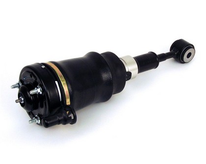 Arnott Complete Ait suspension Shock Assembly - Front