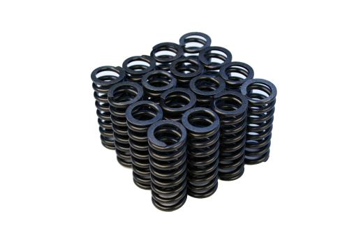 Blox Racing Valve Springs