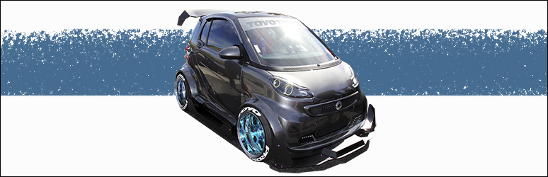 A ForTwo That's ForFun!