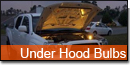 Under Hood Bulbs