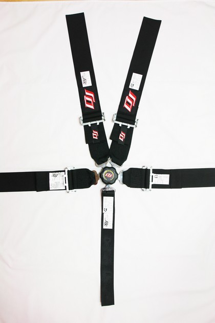 DJ Safety Non-SFI 5-Point Y-Harness (Silver Gray)