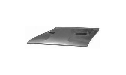 Goodmark Hood - OEM Style - Dual Scoop