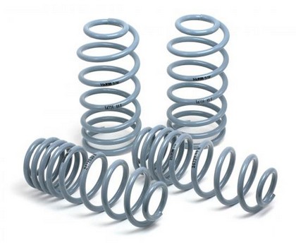 H&R OE Sport Springs - Front: 1