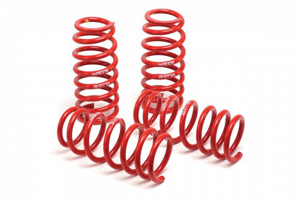 H&R Race Lowering Springs 