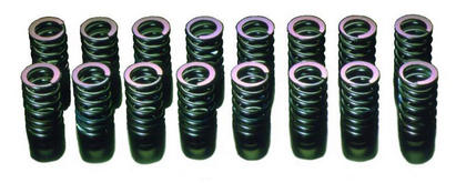 HKS Valve Springs