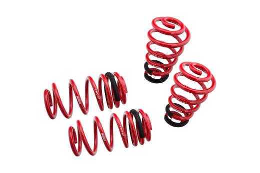 Megan Racing Lowering Springs