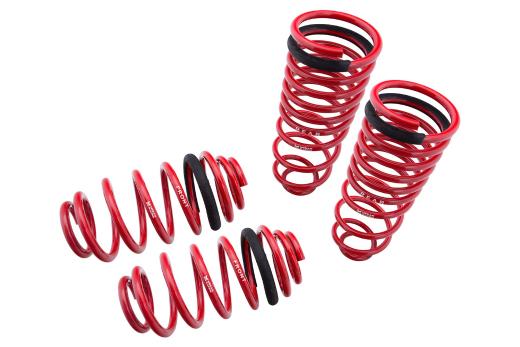 Megan Racing Lowering Springs