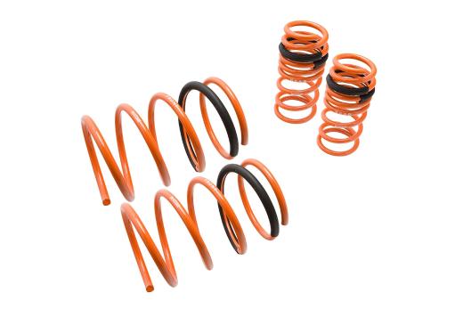 Megan Racing Lowering Springs