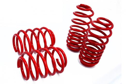 Megan Racing Lowering Springs