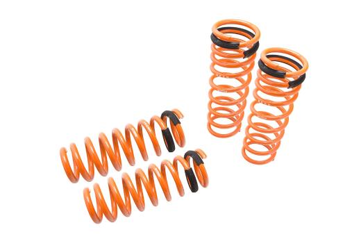 Megan Racing Lowering Springs