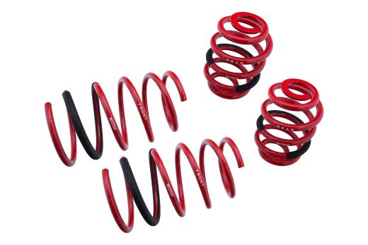 Megan Racing Lowering Springs - 1.25