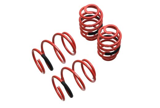 Megan Racing Lowering Springs - 1.25