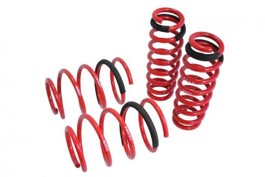 Megan Racing Lowering Springs