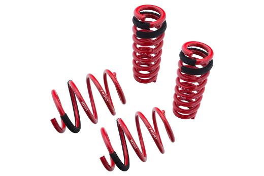 Megan Racing Lowering Springs