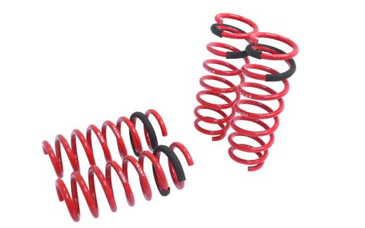 Megan Racing Lowering Springs