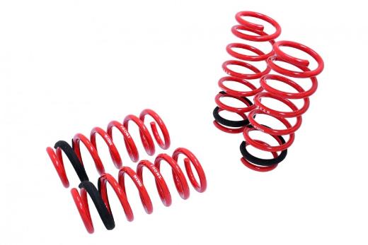 Megan Racing Lowering Springs