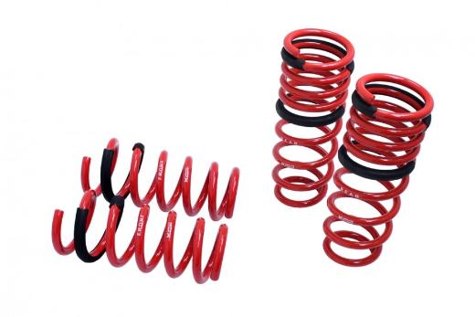 Megan Racing Lowering Springs