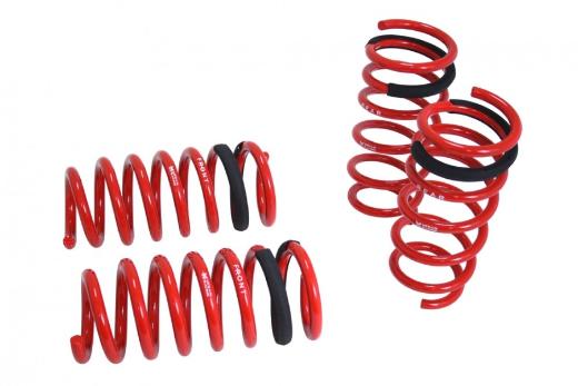 Megan Racing Lowering Springs