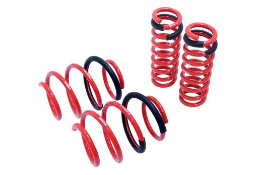 Megan Racing Lowering Springs