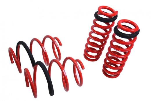 Megan Racing Lowering Springs