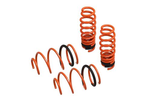 Megan Racing Performance Lowering Springs