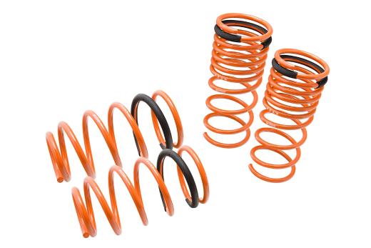 Megan Racing Lowering Springs