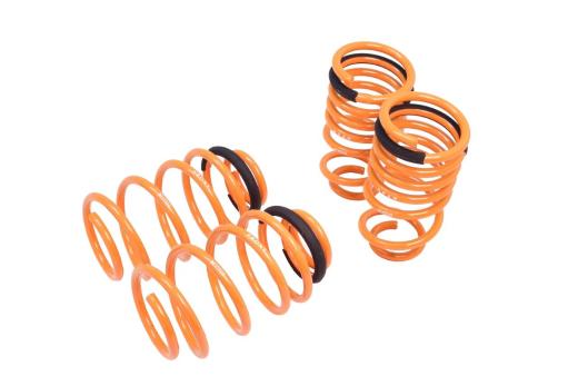 Megan Lowering Springs