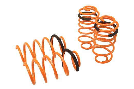 Megan Racing Lowering Springs