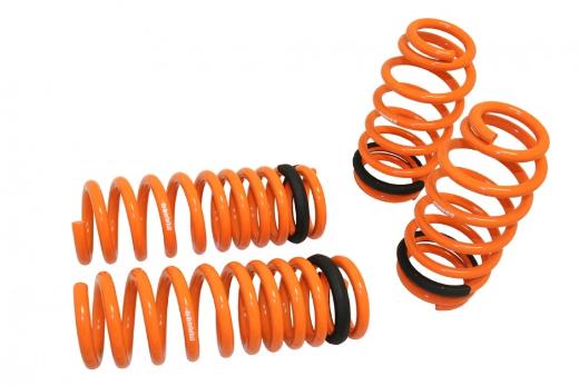 Megan Racing Lowering Springs