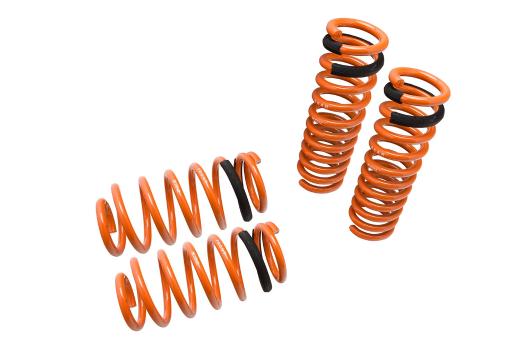 Megan Racing Lowering Springs