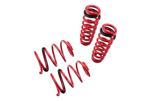 Megan Racing Lowering Springs - 1.25