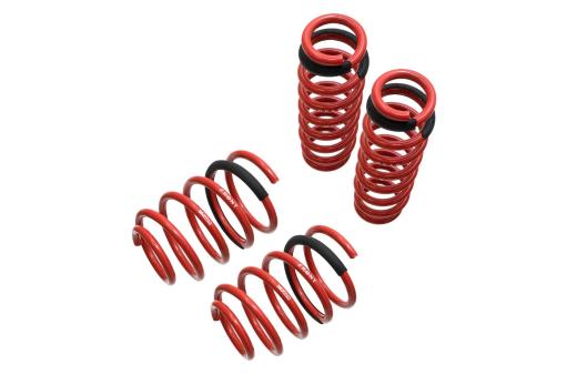 Megan Racing Lowering Springs