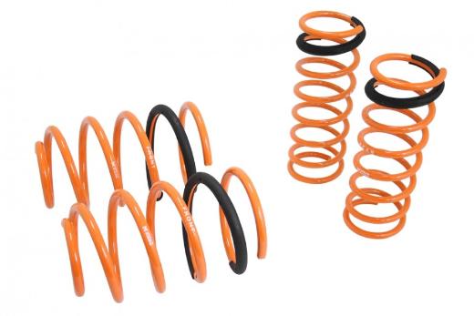 Megan Racing Lowering Springs