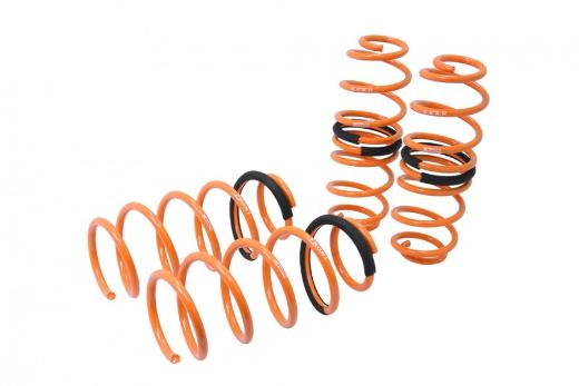 Megan Racing Lowering Springs