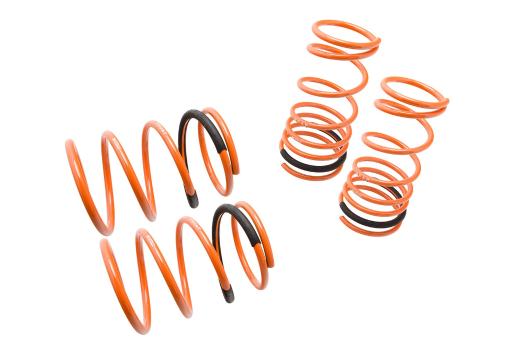 Megan Racing Lowering Springs