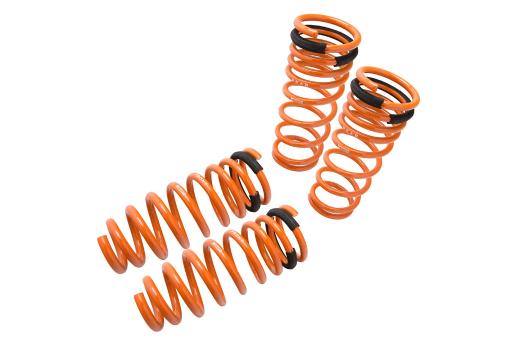 Megan Racing Lowering Springs