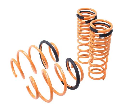 Megan Lowering Springs