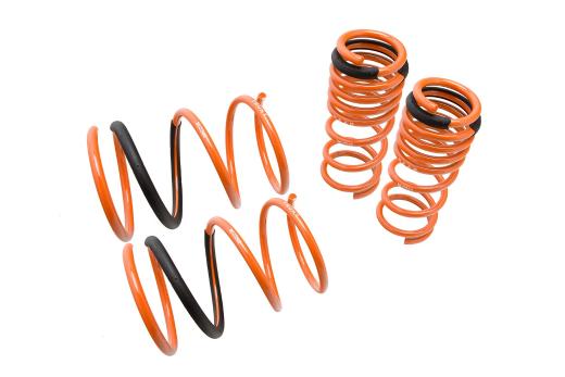 Megan Racing Lowering Springs