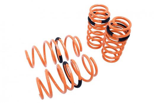 Megan Racing Lowering Springs