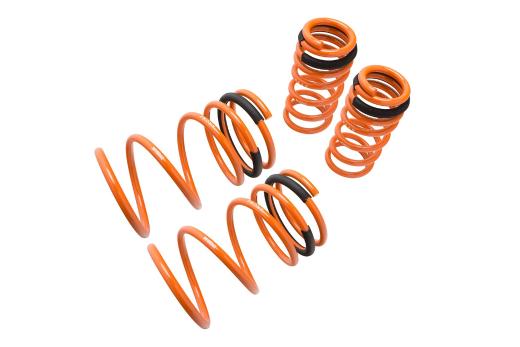 Megan Racing Lowering Springs