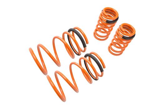 Megan Racing Lowering Springs