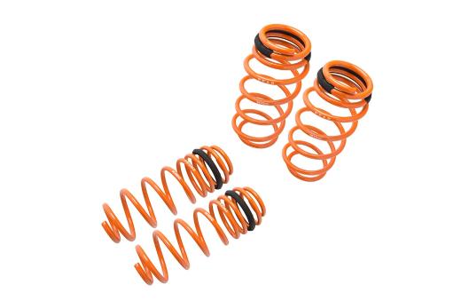 Megan Racing Lowering Springs