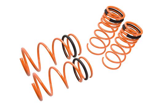 Megan Racing Lowering Springs