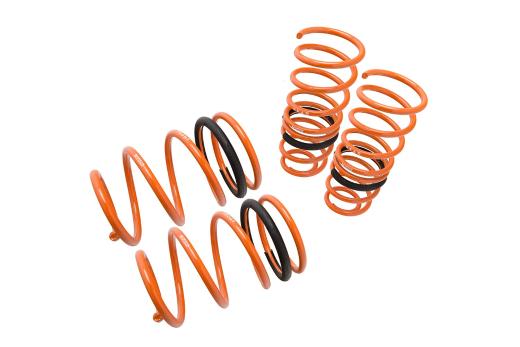 Megan Racing Lowering Springs