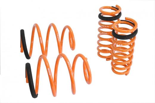 Megan Racing Lowering Springs