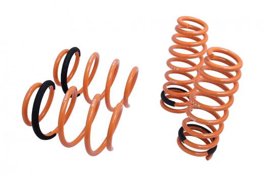 Megan Racing Lowering Springs