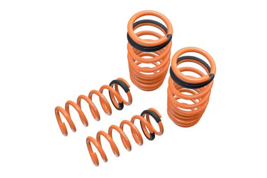 Megan Racing Performance Lowering Springs