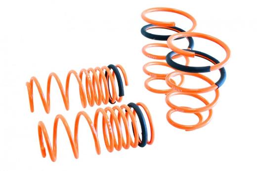 Megan Racing Lowering Springs