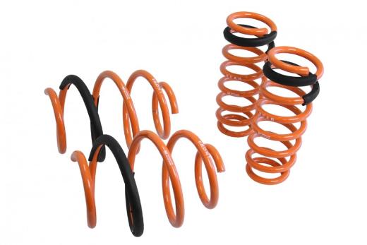 Megan Racing Lowering Springs